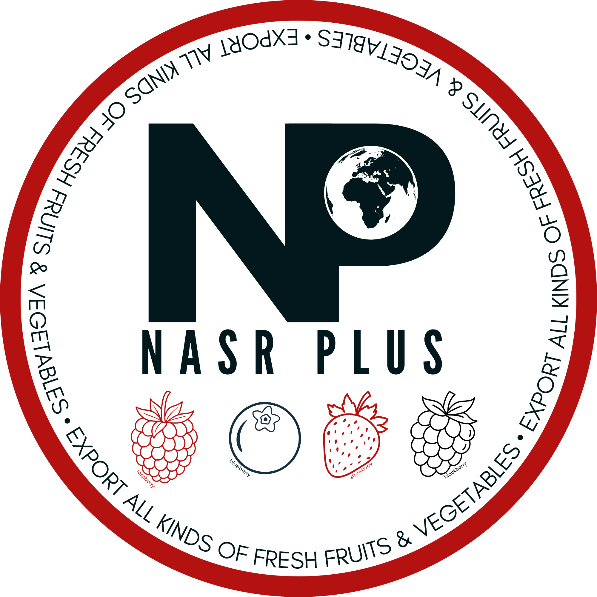 Premium Moroccan Berries for Global Markets - NASR PLUS